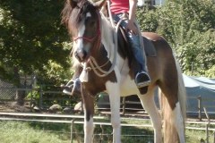 DIGITAL CAMERA